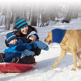 gid://shopify/MediaImage/33701369413872